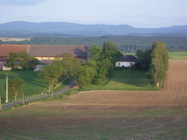 Ferme autour de Sarrebourg - Pays de Sarrebourg