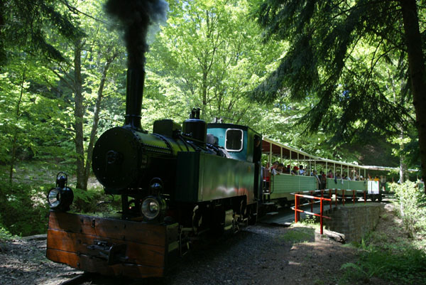 Le Train forestier 2 - J-C_ KANNY - CDT Moselle