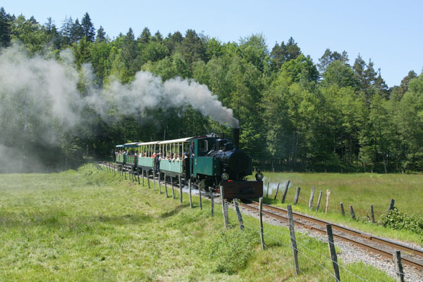 Le Train forestier - J-C_ KANNY - CDT Moselle