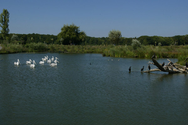 Parc animalier - CDT  Moselle