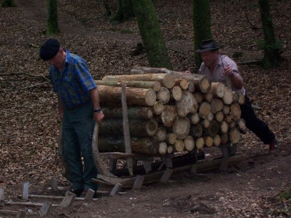 Transport du bois par schlittage - Pays de Sarrebourg